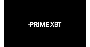 Discovering Success Through PrimeXBT Copy Trading