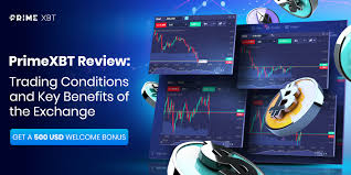 Everything You Need to Know About PrimeXBT App Trading