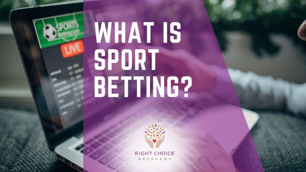Exploring the World of Online Casinos With Cross-Platform Access 27