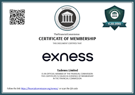 Everything You Need to Know About Exness Forex Calculator