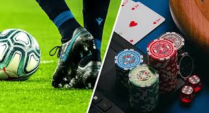 The Ultimate Guide to Dil Bet Revolutionizing Online Betting
