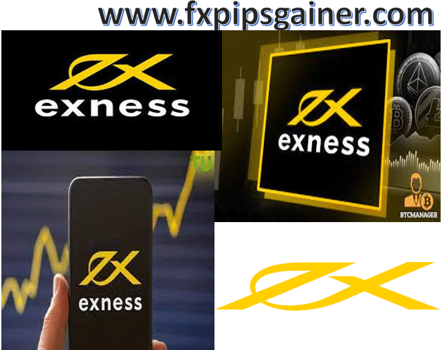 Understanding Exness Educational Resources