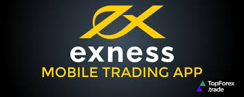 Understanding Exness Spread A Comprehensive Guide for Traders